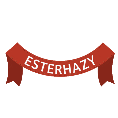 Esterhazy giphyupload christmas snow xmas Sticker