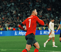 Ronaldo Celebration GIF