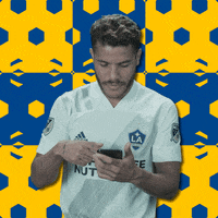 Los Angeles La GIF by Major League Soccer