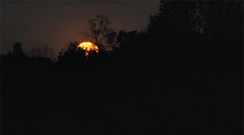 sam raimi toomanygifs maybe idkw/e GIF by Maudit