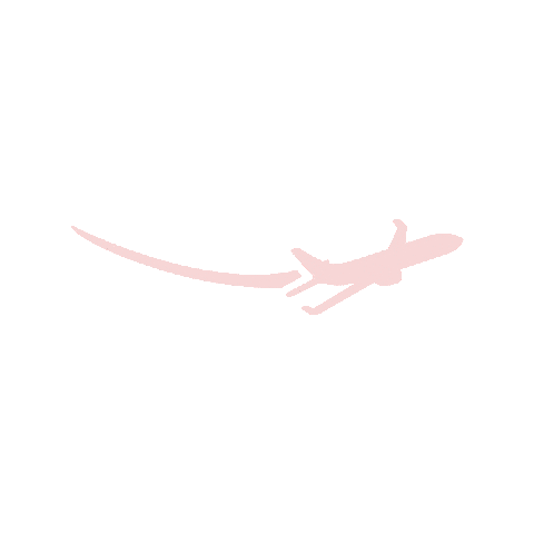 Fashion Rose Sticker by Business Plane Network
