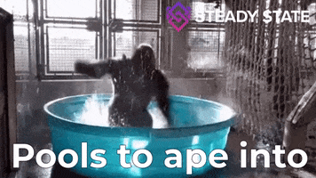 Defi 20 GIF by Steady State