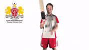 CaseySouthMelbourneCC swans csmcc caseysouthswans GIF
