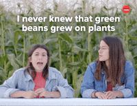 Work Farm GIF by BuzzFeed
