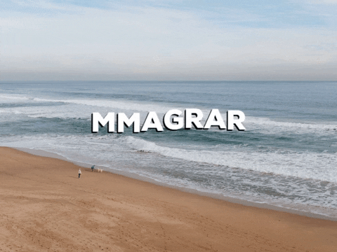 lexolino_de giphygifmaker smile laugh joke GIF