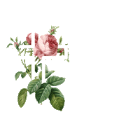 church easter Sticker by TheCallingChurch