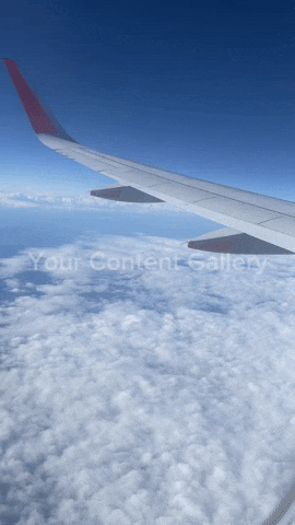 yourcontentgallery giphyupload GIF