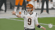 Cincinnati Bengals Football GIF by NFL