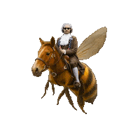 Flying Horse Falling Sticker