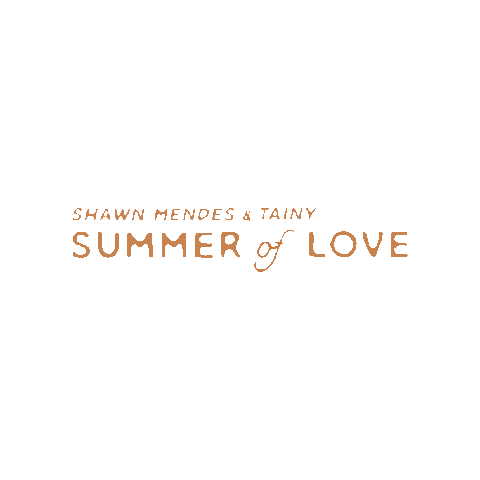 Summer Of Love Sol Sticker by Shawn Mendes