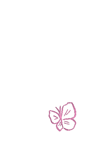 Pink Colors Sticker