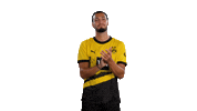 Ramy Bensebaini Football Sticker by Borussia Dortmund