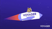 InvestVoyager  GIF
