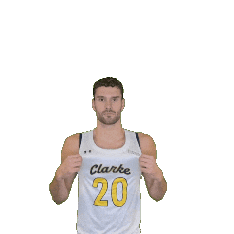 Mens Basketball Sticker by Clarke University