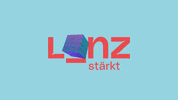 Linz GIF by stadtlinz