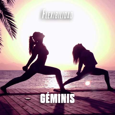 Flexibilidad Géminis