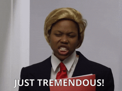 donald trump lol GIF