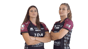 Handball Sticker by JDA Dijon Basket