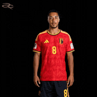 Fifa World Cup Uefa GIF by Respective