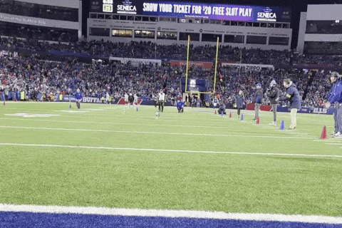 CorgsOfWar corgi corgiracing corgirace GIF