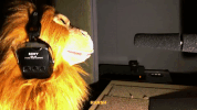 scared scream GIF by hanshs4c