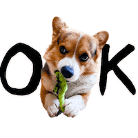 Corgi Ok Sticker