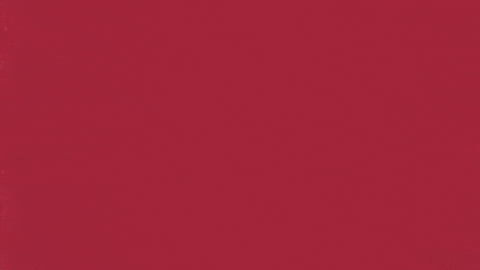 Charroslmb2025 GIF by Charros de Jalisco