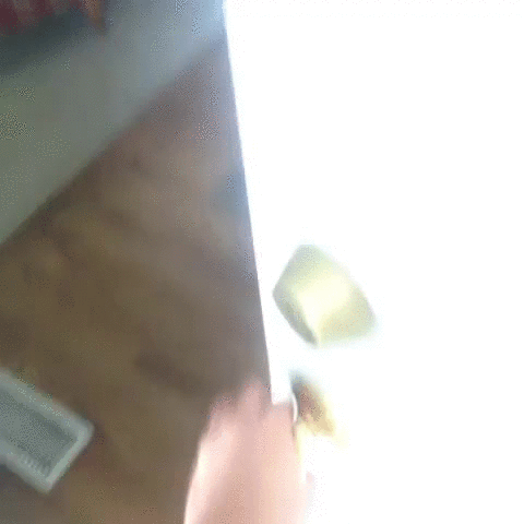 GIF by Giphy QA