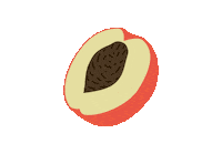 Fruit Peach Sticker