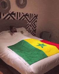 Senegal GIF