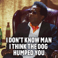 Comedy Sketch GIF by NETFLIX