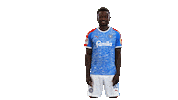 Football Futbol Sticker by Holstein Kiel