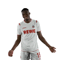 Fc Cologne Bundesliga Sticker by 1. FC Köln