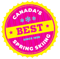 Snowboarding The Best Sticker by Sunshine Village