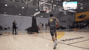 Basketball Wisconsin GIF by Milwaukee Panthers