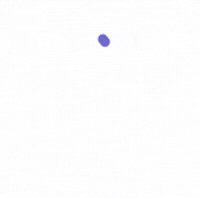 angeloesposito1988 gift gift card mysarmawelfare GIF