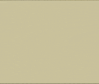 Meowl GIF