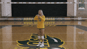 Volleyball Bison GIF by NDSU Athletics