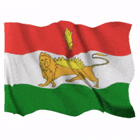 Flag Al GIF