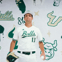 South Florida Baseball GIF by USF Athletics