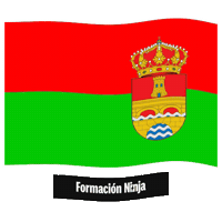 La Coruna Flag Sticker by Formación Ninja