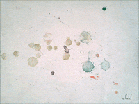 grief condolences GIF