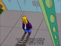 homer simpson episode 13 GIF