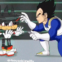 Dragon Ball Z Shadow GIF
