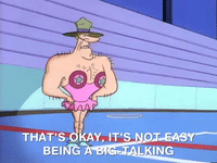 nickrewind nicksplat angry beavers GIF