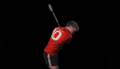 All-Ireland Camogie GIF by AIB