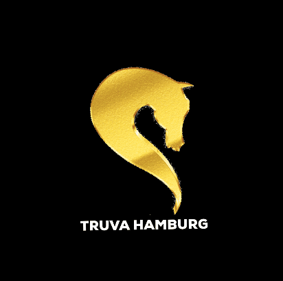 Truvahamburg giphygifmaker giphygifmakermobile truva truvahamburg GIF
