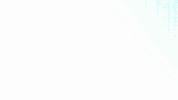 Basketball Champions League Bcl GIF by San Pablo Burgos