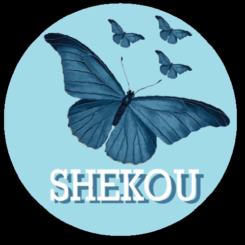 Pastel Butterfly GIF by Shekou Woman