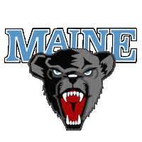 Go Blue Black Bear Sticker by umaine
